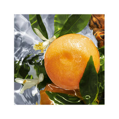 Guerlain Aqua Allegoria Pamplelune