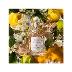 Guerlain Aqua Allegoria Bergamote Calabria